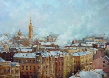 Roofs of St. Petersburg. Trunov Dmitriy