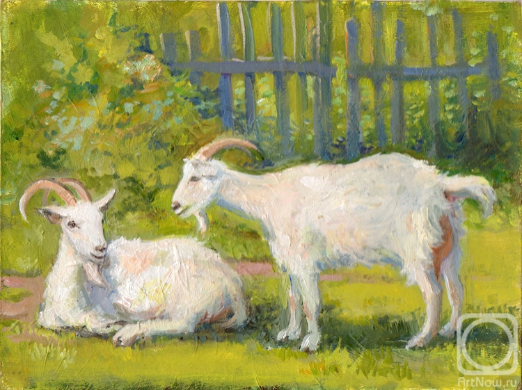 Shumakova Elena. Two goats. Summer etude