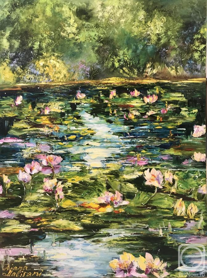Malivani Diana. Pond with Water Lilies