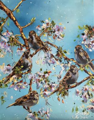 Sparrows. Malivani Diana