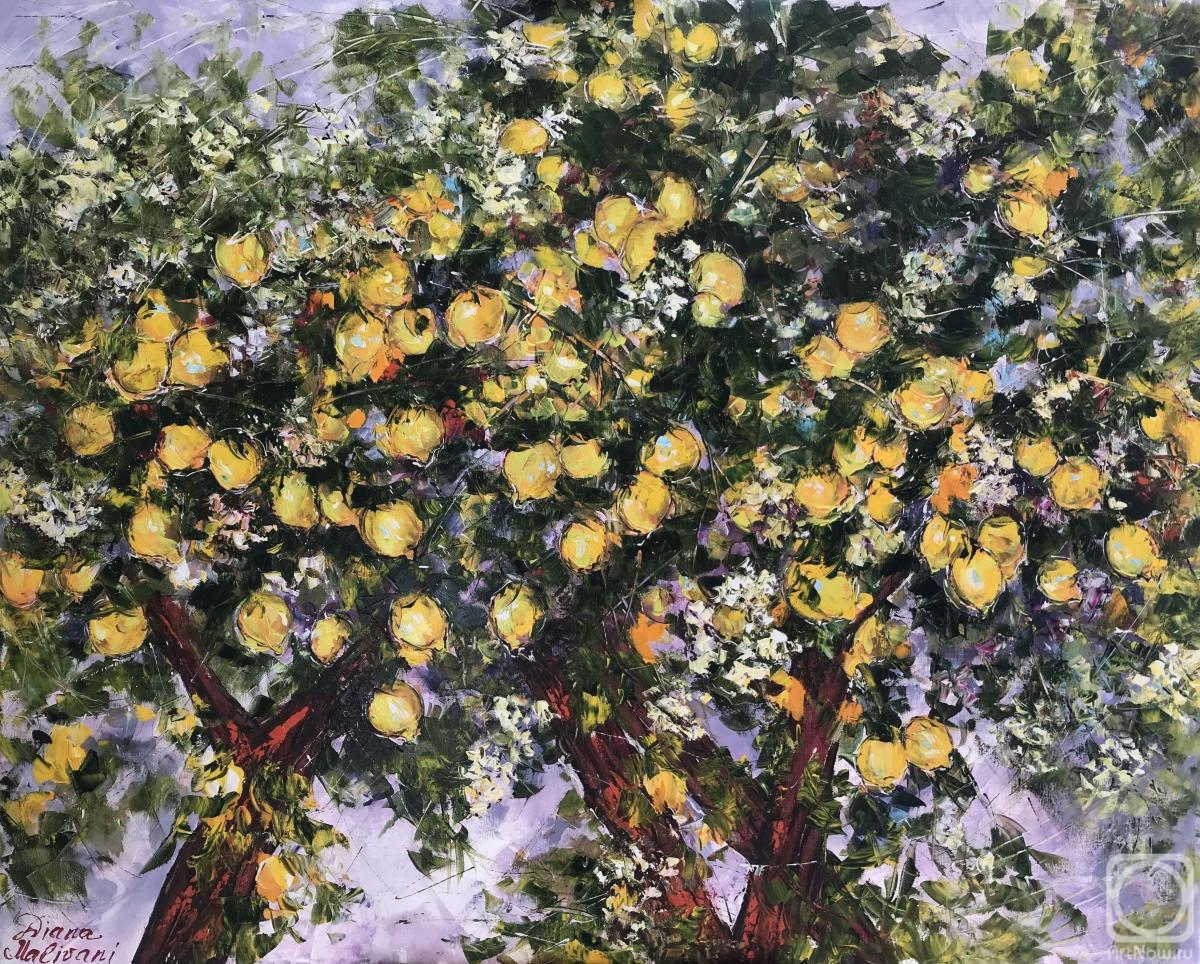 Malivani Diana. Bloomy Lemon Trees