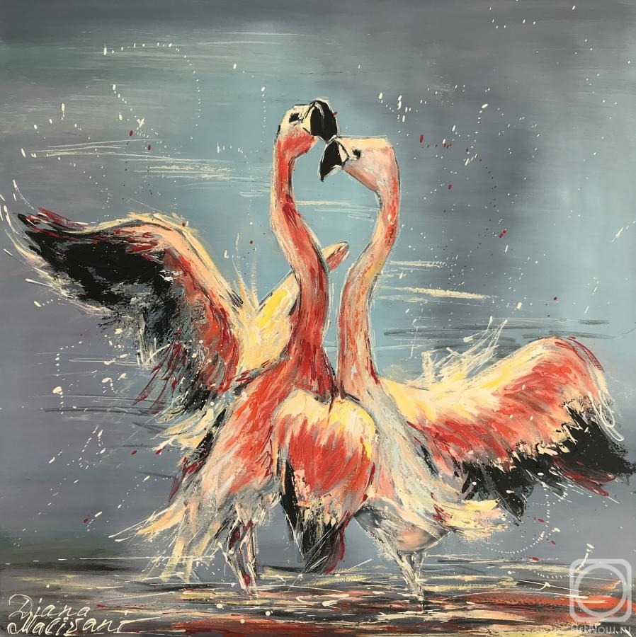 Malivani Diana. Dance of Pink Flamingoes