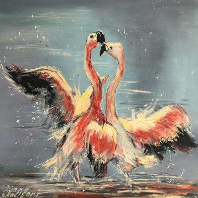 Dance of Pink Flamingoes. Malivani Diana