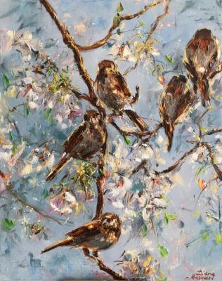 Sparrows. Malivani Diana