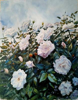 White roses. Kalinina Nadezhda
