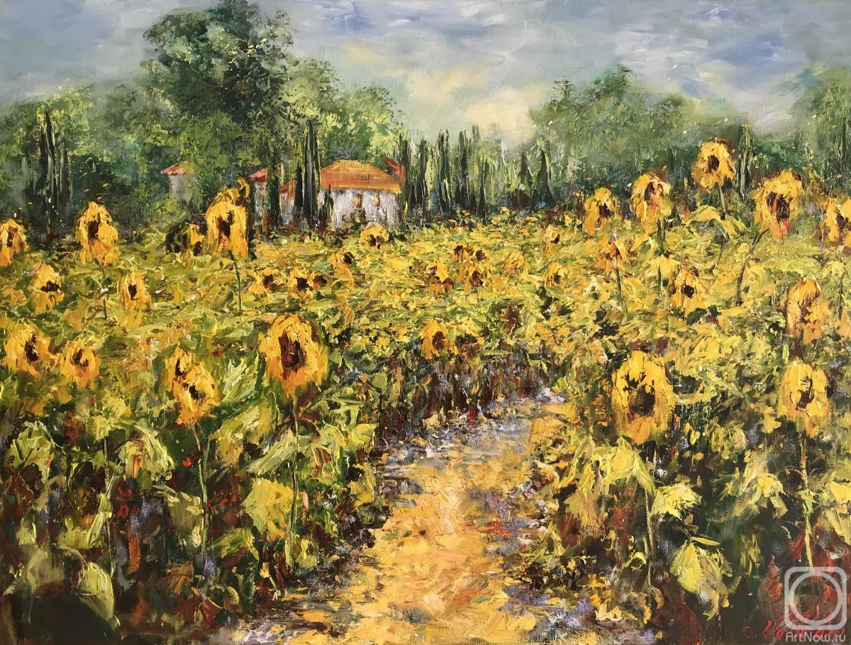 Malivani Diana. Sunflowers