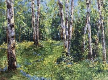 Birch Trees in the Sunshine (    ). Malivani Diana