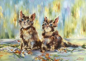 Kittens. Malivani Diana