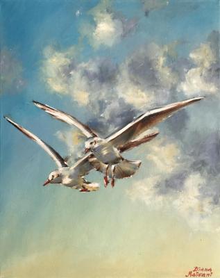 Two Gulls. Malivani Diana