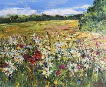 Chamomile in the Sunshine. Malivani Diana