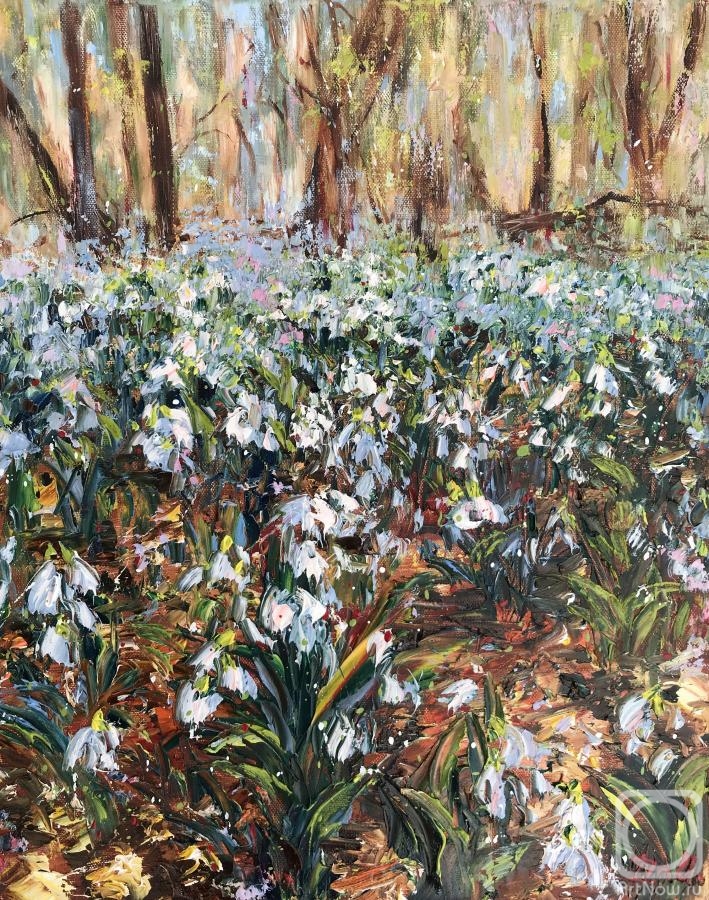 ������� ������ �� ������. �������� �����. �����������