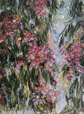 Bloomy Eucalyptus Tree. Malivani Diana