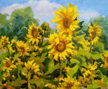 Sunflowers. Krivenko Peter