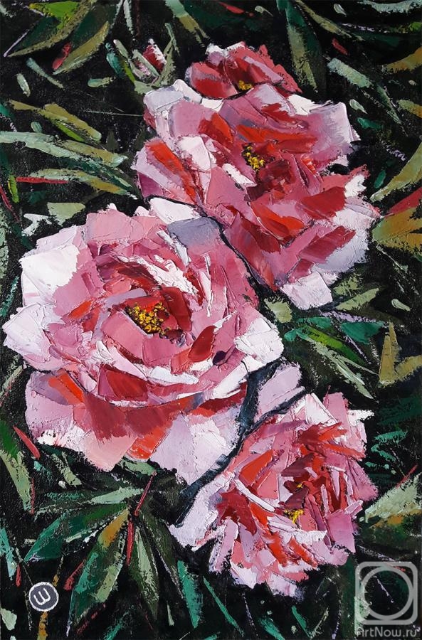 ������� ������ �� ������. ��� ������. ������������ ���������