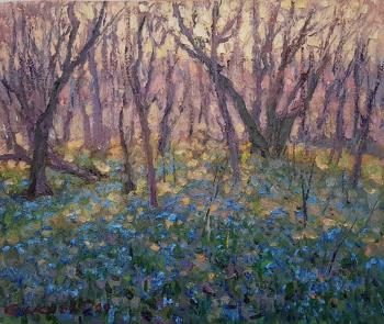 Spring in the woods. Sisoev Dmitriy