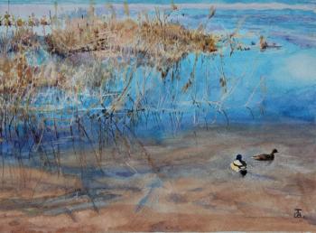 Sonorous APR. Tumanov Vadim