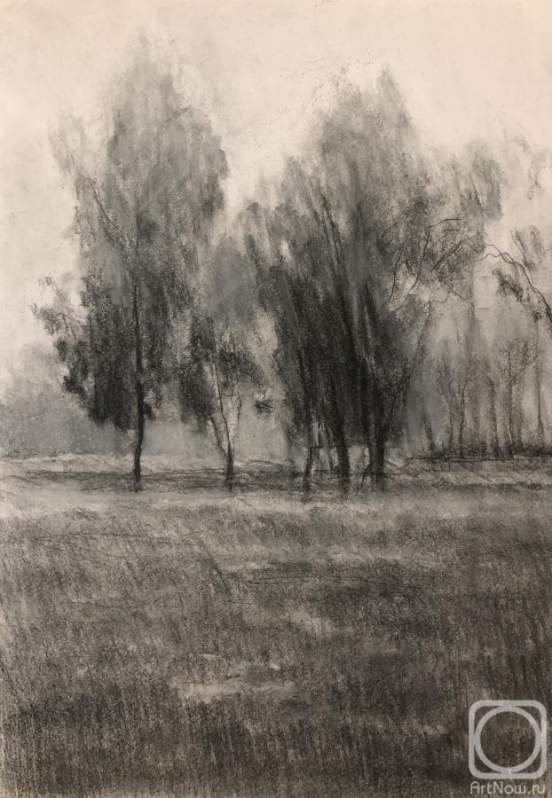Chistiakov Vsevolod. Landscape charcoal