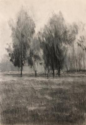 Landscape charcoal. Chistiakov Vsevolod