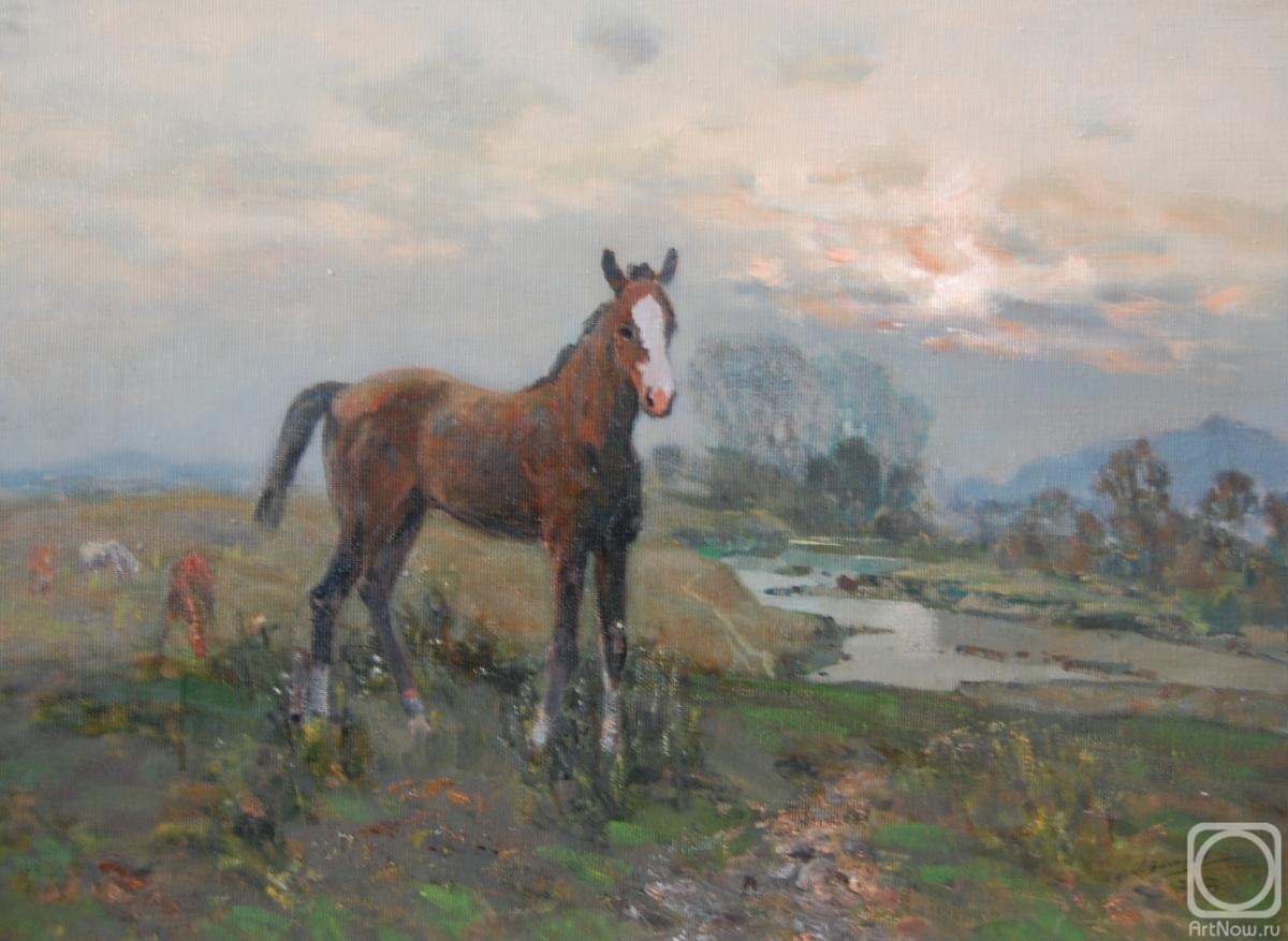 Zakharov Ivan. Foal