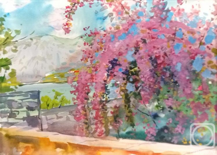 �������. ���������� ������. ���������� ����. �����������