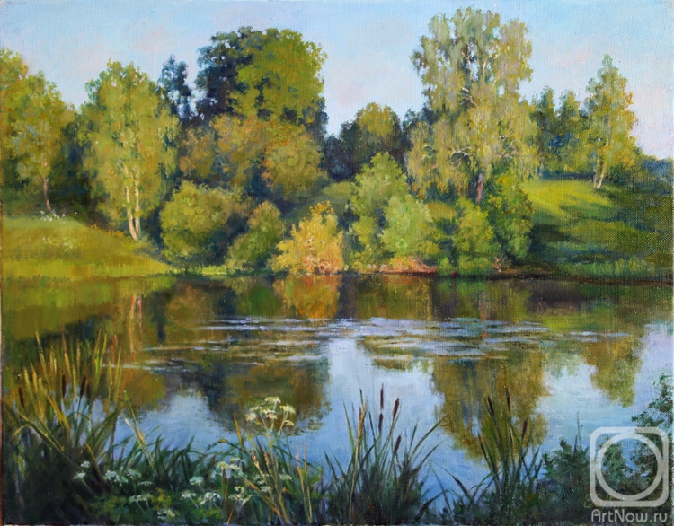 Shumakova Elena. Side of the pond