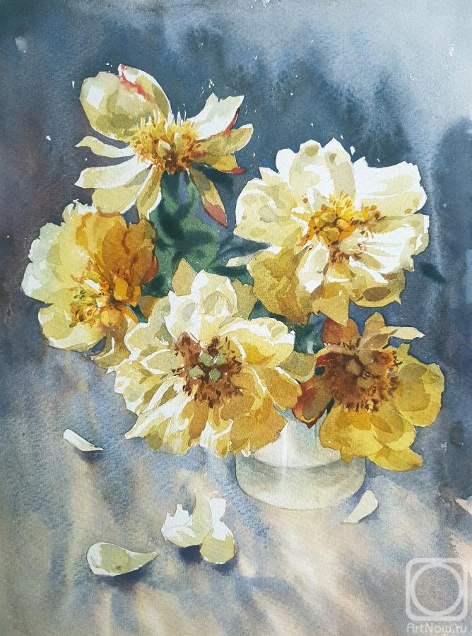 �������. �������� �������. �����