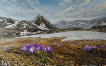 Crocuses in the mountains