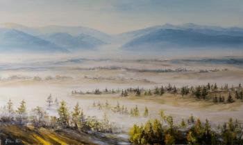 ��������� �����, �����. ���������� ����