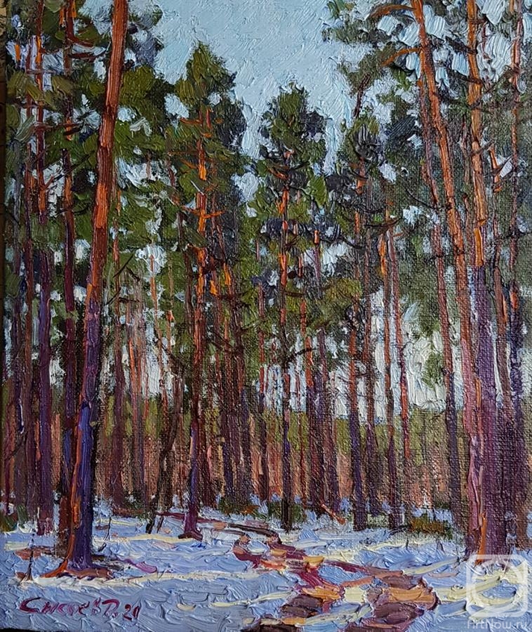 Sisoev Dmitriy. Century-old pines