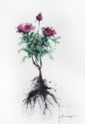 To uproot (Botanical Illustration). Petrovskaya Irina