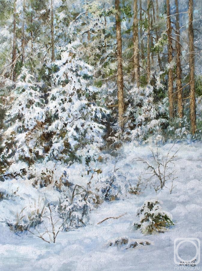 Dorofeev Sergey. Winter
