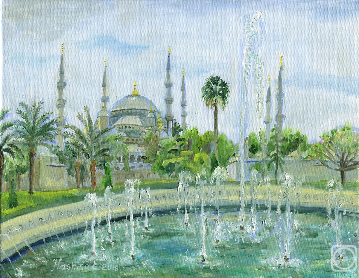 Kashina Eugeniya. Fountains in front of the Blue Mosque. Istanbul, Turkey