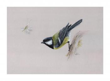 The Great Tit. series "Tits"