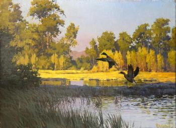 Evening in the swamp. Fyodorov Vladymir