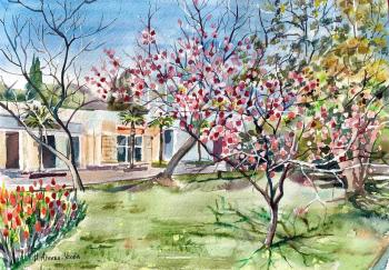 ������� ������ �������