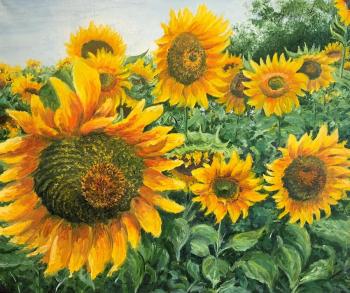 Sunny sunflowers. Naumova Daria