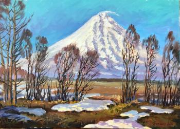 Stepanov Pavel Alekseevich. The last snow of April. Koryaksky Volcano