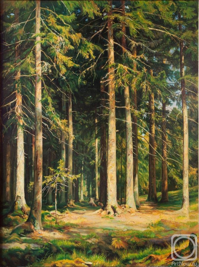 Vasiliev Anton. Spruce forest