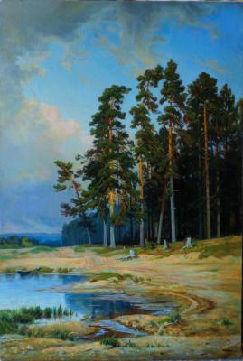 Forest edge. Vasiliev Anton