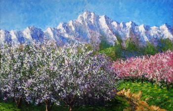 ������� ����� ������