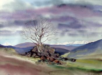 ������� ������� ���� ��� �������