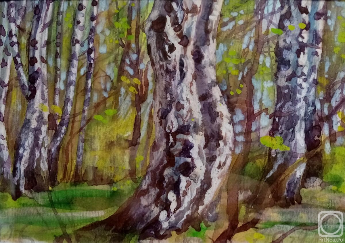 Dobrovolskaya Gayane. Double birch on the edge of the forest