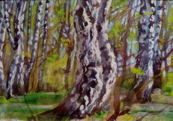 Double birch on the edge of the forest. Dobrovolskaya Gayane
