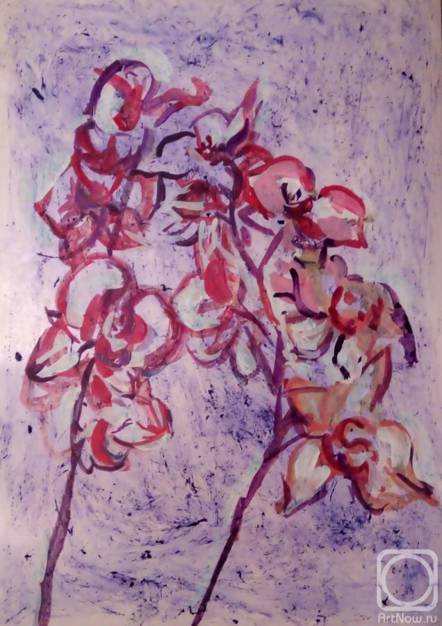 �������. ����� ������. ������� �������