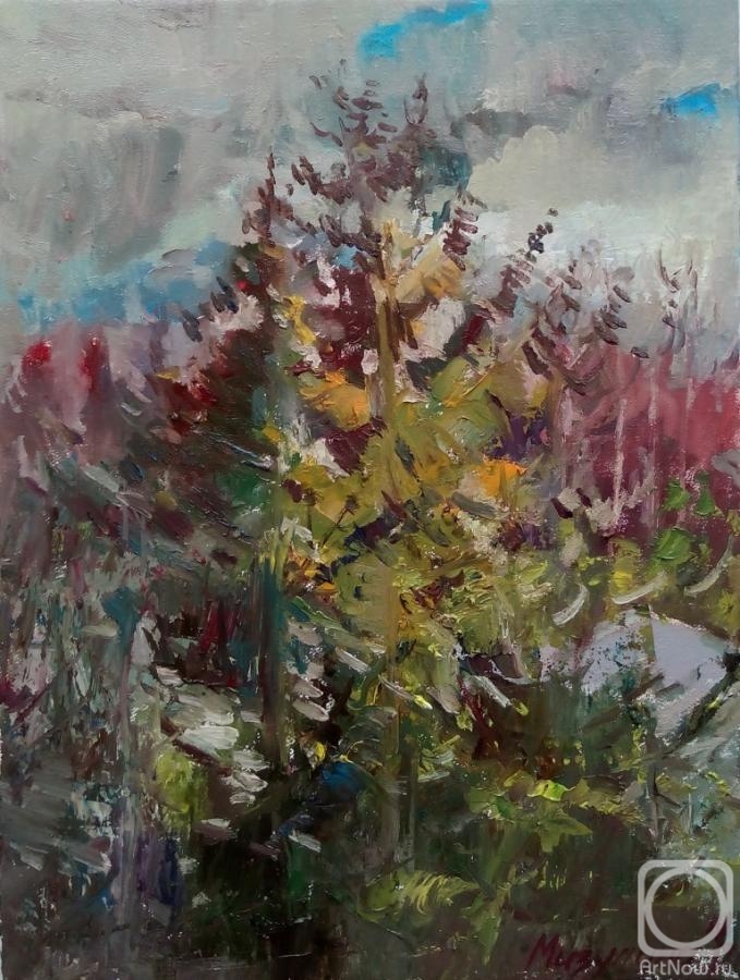 Mizulina Olga. Untitled