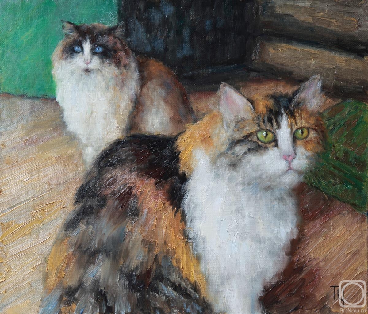 ������� ������ �� ������. ��������� �������. �����������