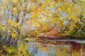 Autumn coolness (River Coolness). Gerasimova Natalia