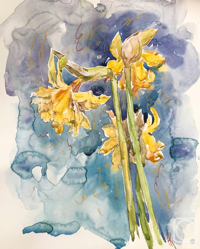 Kurnosenko Antonina. Daffodils