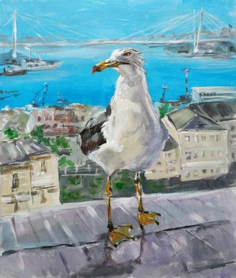 �������� ��-��������������