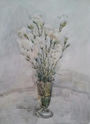 Carnations. Klyan Elena